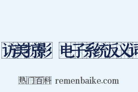 访美掠影·电子系统反义词是什么意思的图片